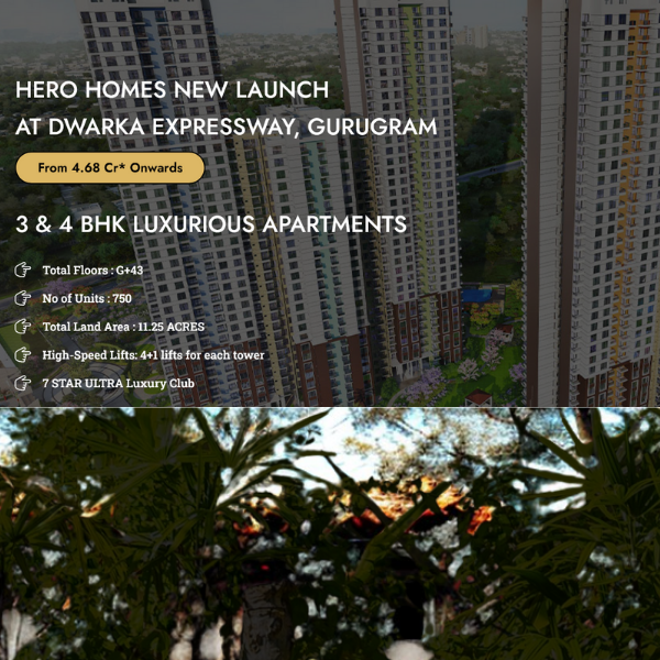 The Palatial Hero Homes The Palatial Hero Homes