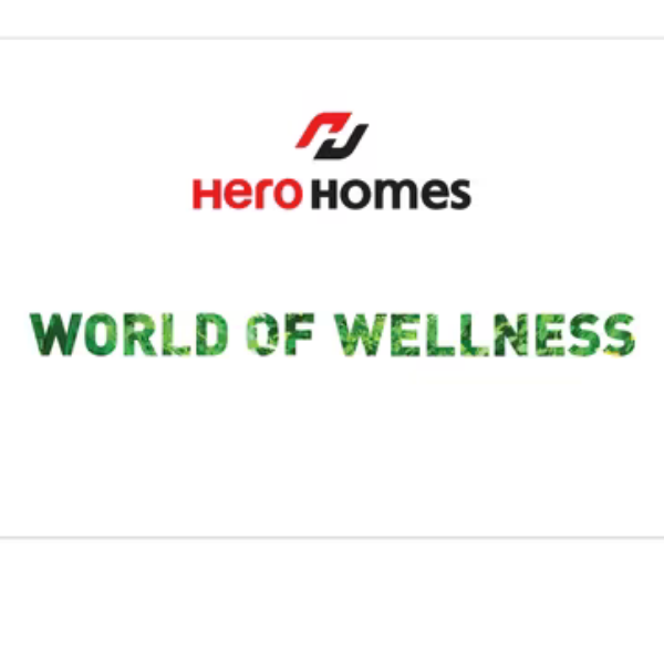 The Palatial Hero Homes The Palatial Hero Homes